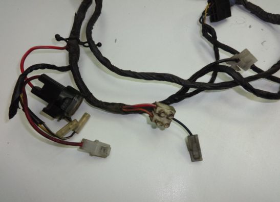 Wire Harness Suzuki GSX F 1100