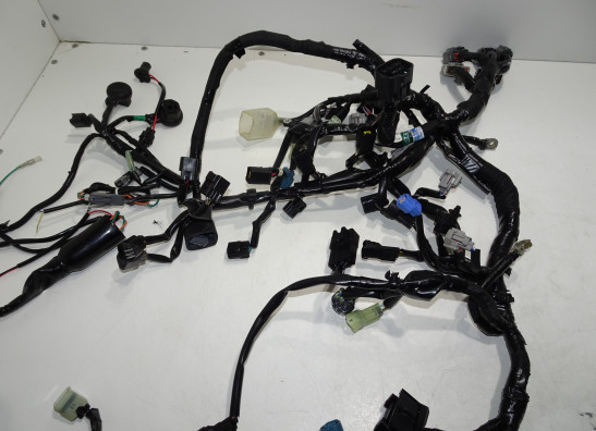 Kabelboom Kawasaki Z 900