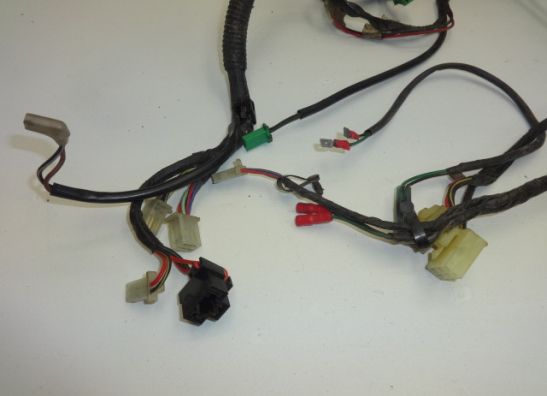 Wire Harness Kawasaki ZZR 250