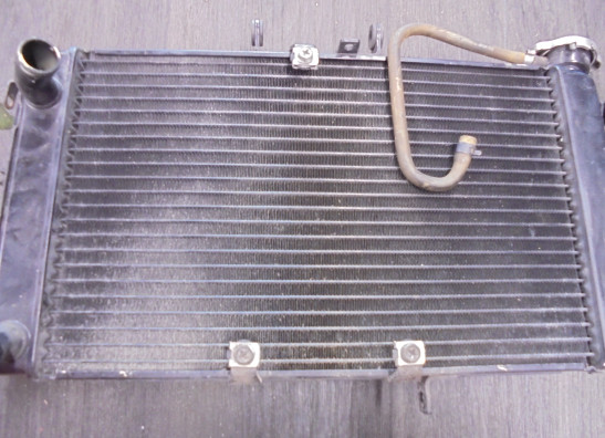Radiateur Triumph Tiger 800 XRT