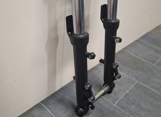 Voorpoten compleet Kawasaki Ninja 650