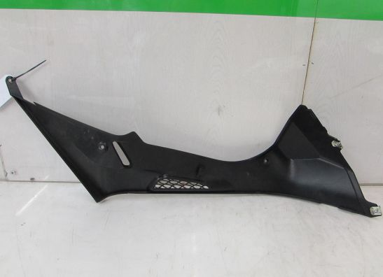 Tankschutz BMW S 1000 RR