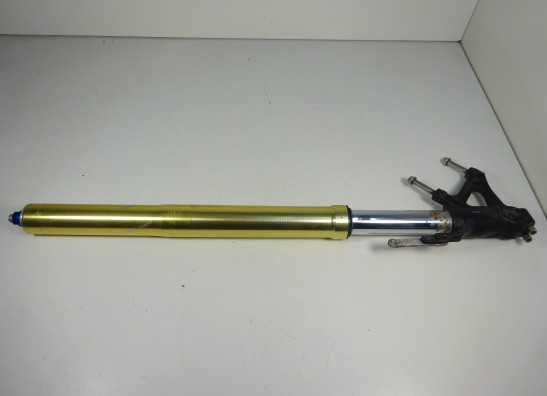 Front Fork right complete Triumph Tiger 1050
