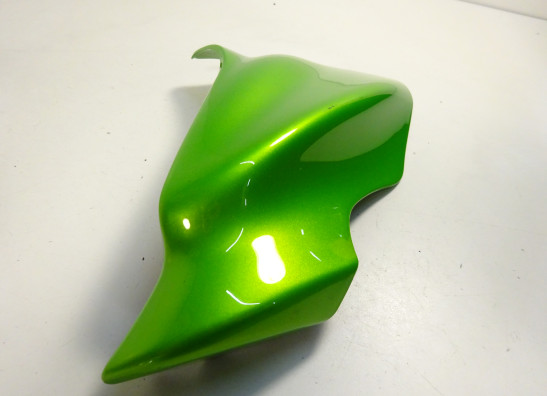 Linker topkuip Kawasaki ER 6