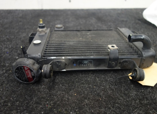 Kuhler Honda CBR 125 R