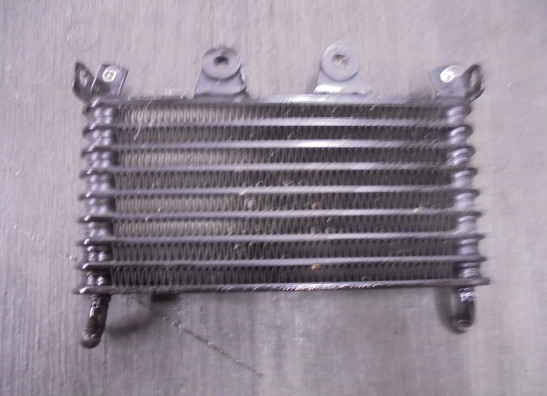 Oliekoeler BMW R Nine T