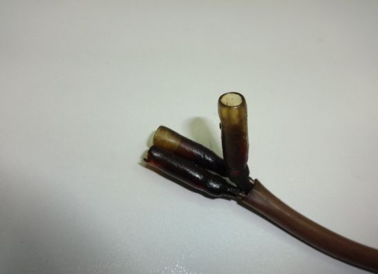 Dynamo Kawasaki GPZ 550