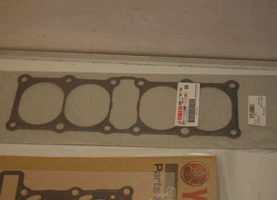 Motorblok diverse Yamaha FZR 600