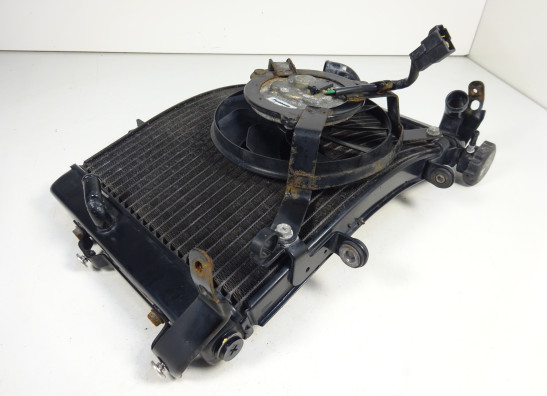 Radiateur Triumph Street Triple 675