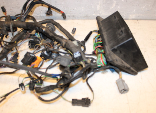 Kabelboom BMW R 1100 RT