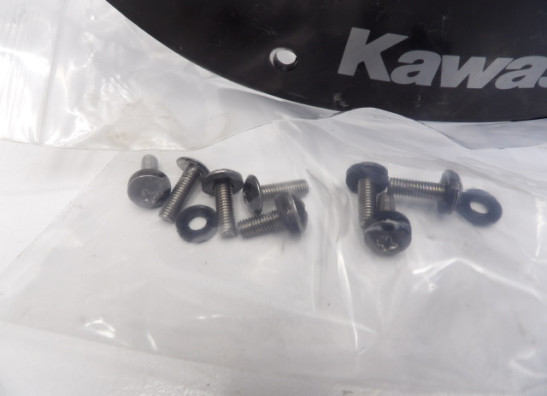 Scheibe Windschild Kawasaki ZX 9 R