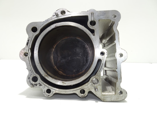 Cylinders BMW F 650 GS