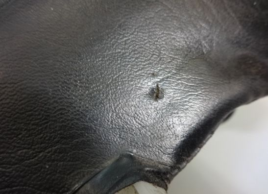 Soziussitz Suzuki LS 650