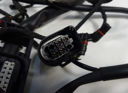 Kabelboom BMW F 650 GS