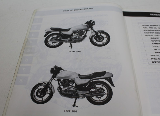 Werkplaatshandboek Suzuki GSX 250