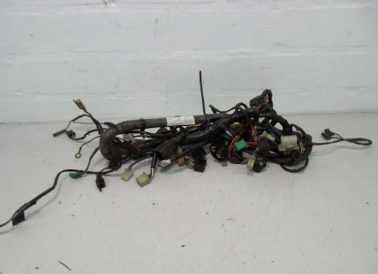 Wire Harness Kawasaki ZZR 600