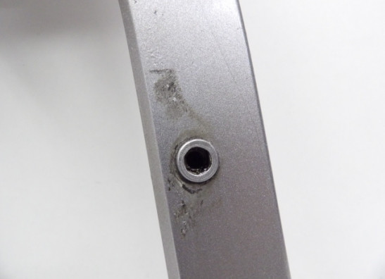 Hinterradschwinge Yamaha FZ6