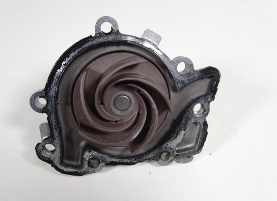 Water pump Ducati 1299 Panigale