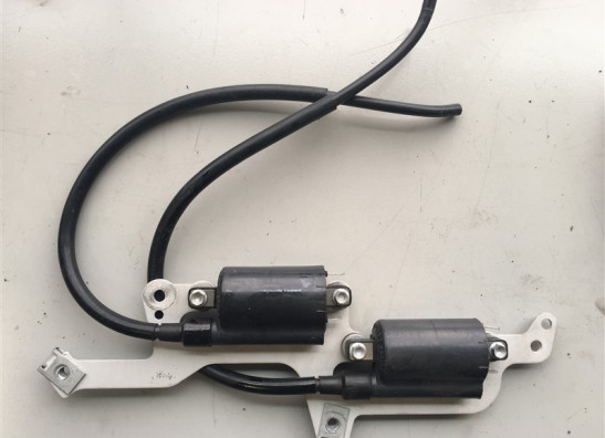 Bobine Aprilia Tuono 1000