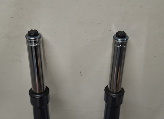 Voorpoten compleet BMW R 1100 S