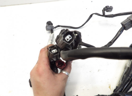 Kabelboom Honda CBR 600 F