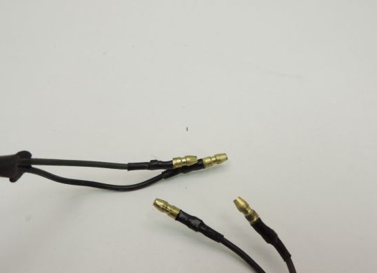 Blinker Yamaha TRX 850