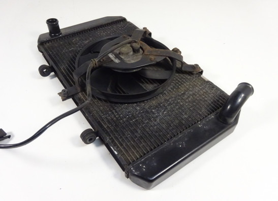 Radiateur Kawasaki Z 750