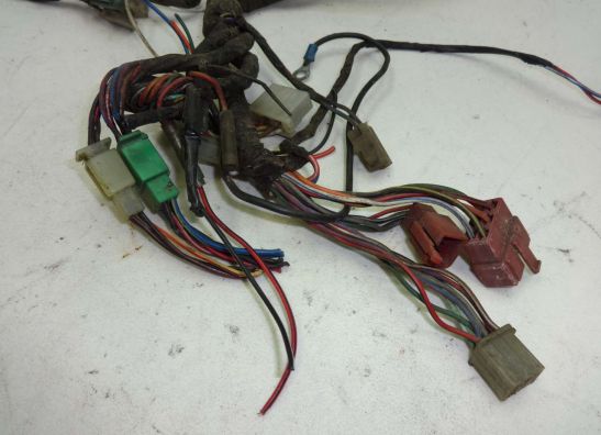 Kabelboom Kawasaki GTR 1000