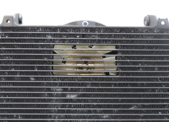 Radiateur Yamaha FZR 750 R OWO1