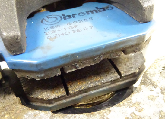 Rear brake caliper Suzuki SV 650