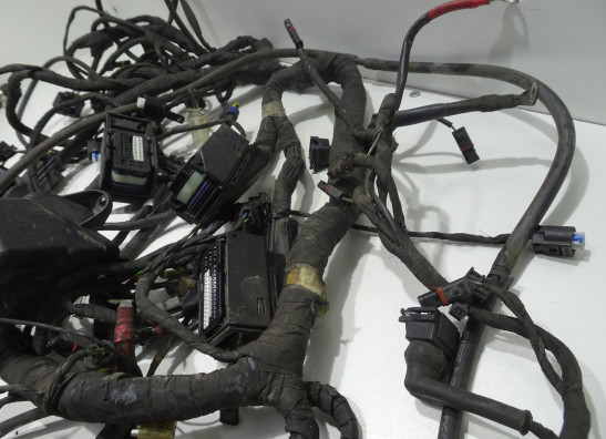 Kabelbaum BMW R 1200 RT