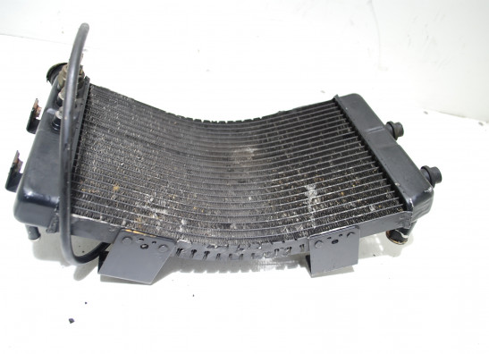 Radiator Yamaha GTS 1000