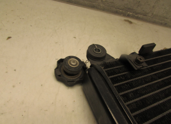 Kuhler Kawasaki ZX 10 R