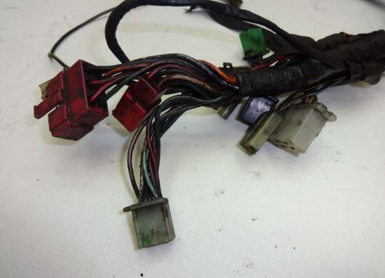 Kabelboom Kawasaki GTR 1000