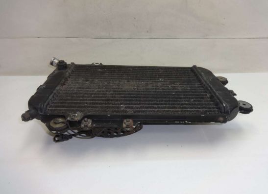 Kuhler Kawasaki VN 700  750