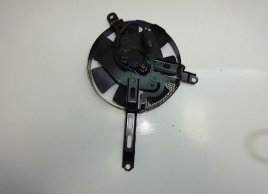Fan Suzuki GSX R 1000