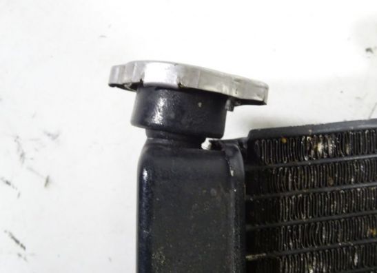 Radiator Honda CBR Fireblade