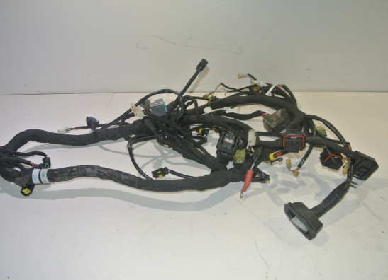 Kabelboom KTM 1190 Adventure