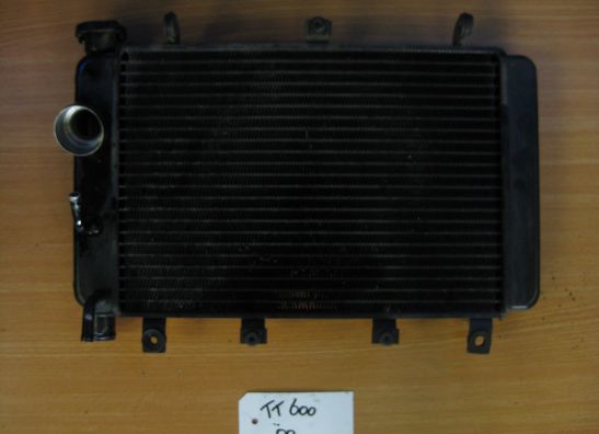 Radiateur Triumph TT 600