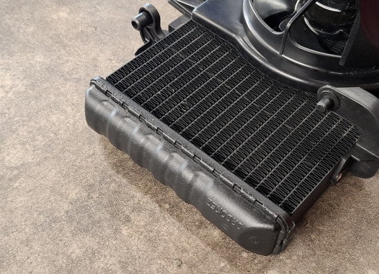 Radiateur BMW F 700 GS