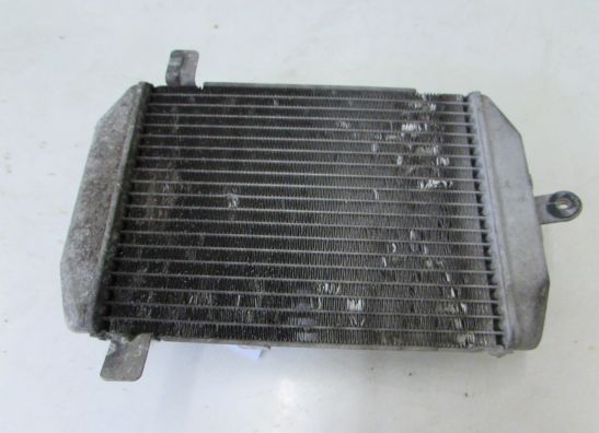 Radiateur Suzuki Burgman 400
