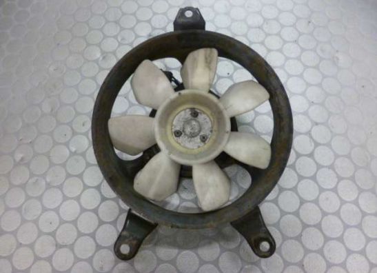 Ventilator Triumph Sprint ST 955