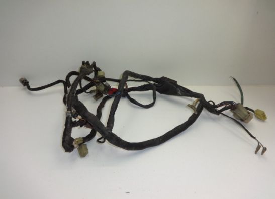 Wire Harness Honda PC 800