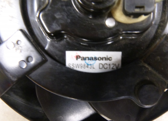 Ventilator Triumph Speed Triple 1050