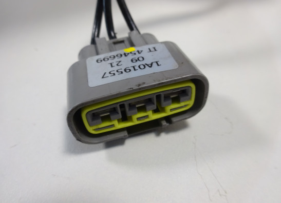 Dynamo Aprilia Tuono 660