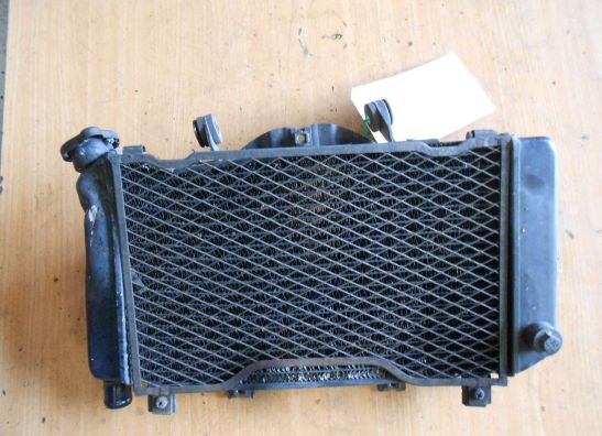 Kuhler Yamaha TDM