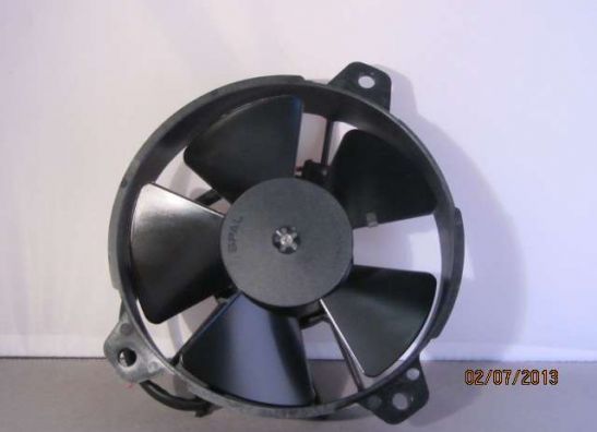 Fan Voxan Roadster