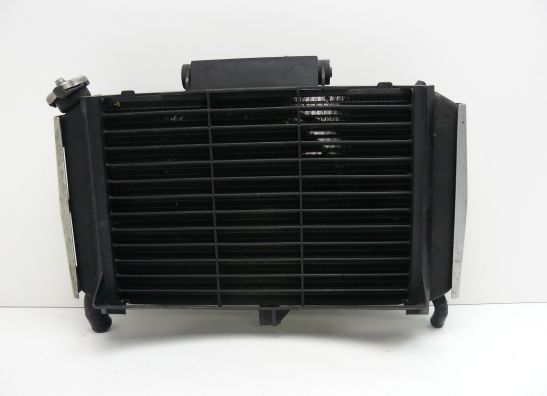 Radiateur Yamaha FAZER 600