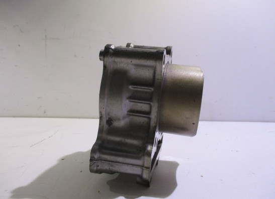 Cilinderblok Suzuki DL 650 V STROM