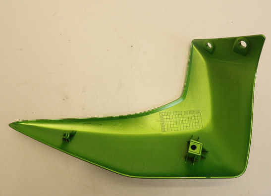 Linker zijkuip klein Kawasaki Z 750